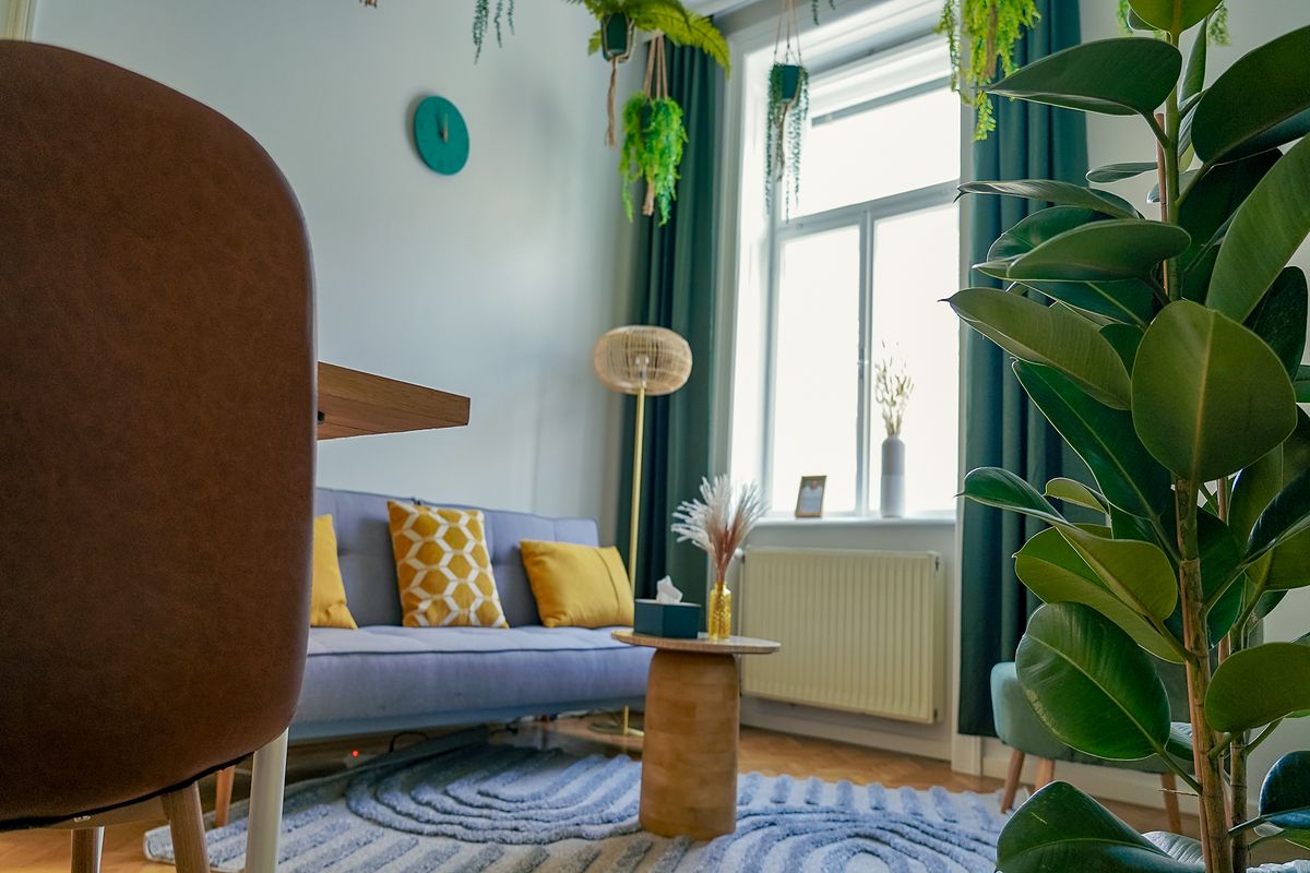 Praxisraum in 1030 Wien mit Sofa, Pflanzen und großem Fenster